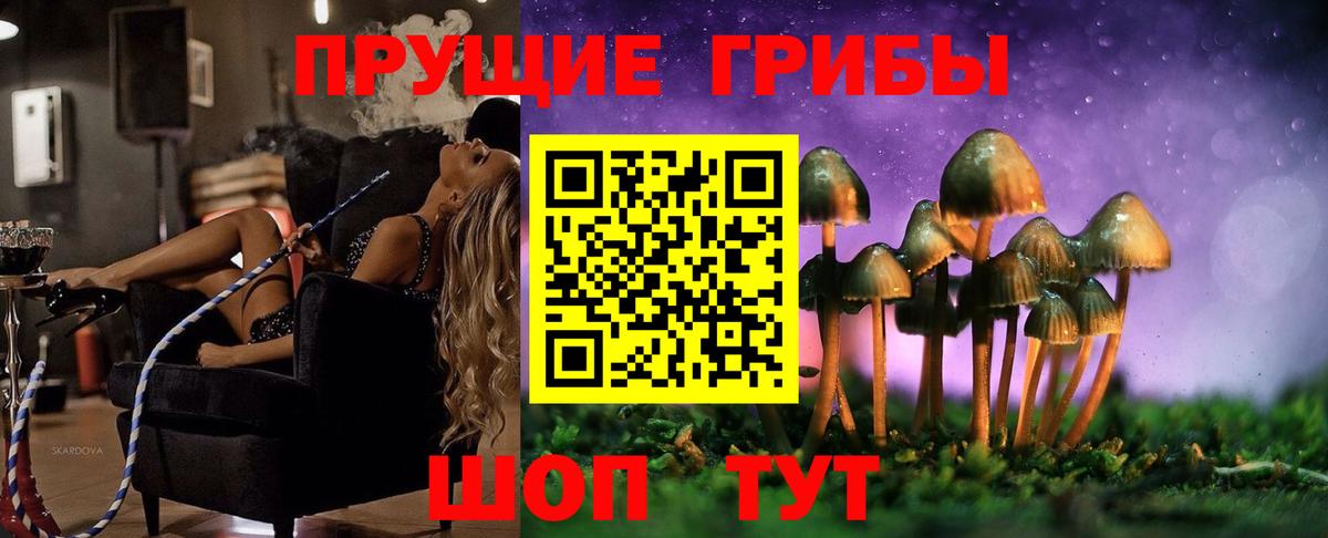 Псилоцибиновые грибы GOLDEN TEACHER  Псилоцибиновые грибы ЛСД  сколько стоит  Асино  Вход с VPN 